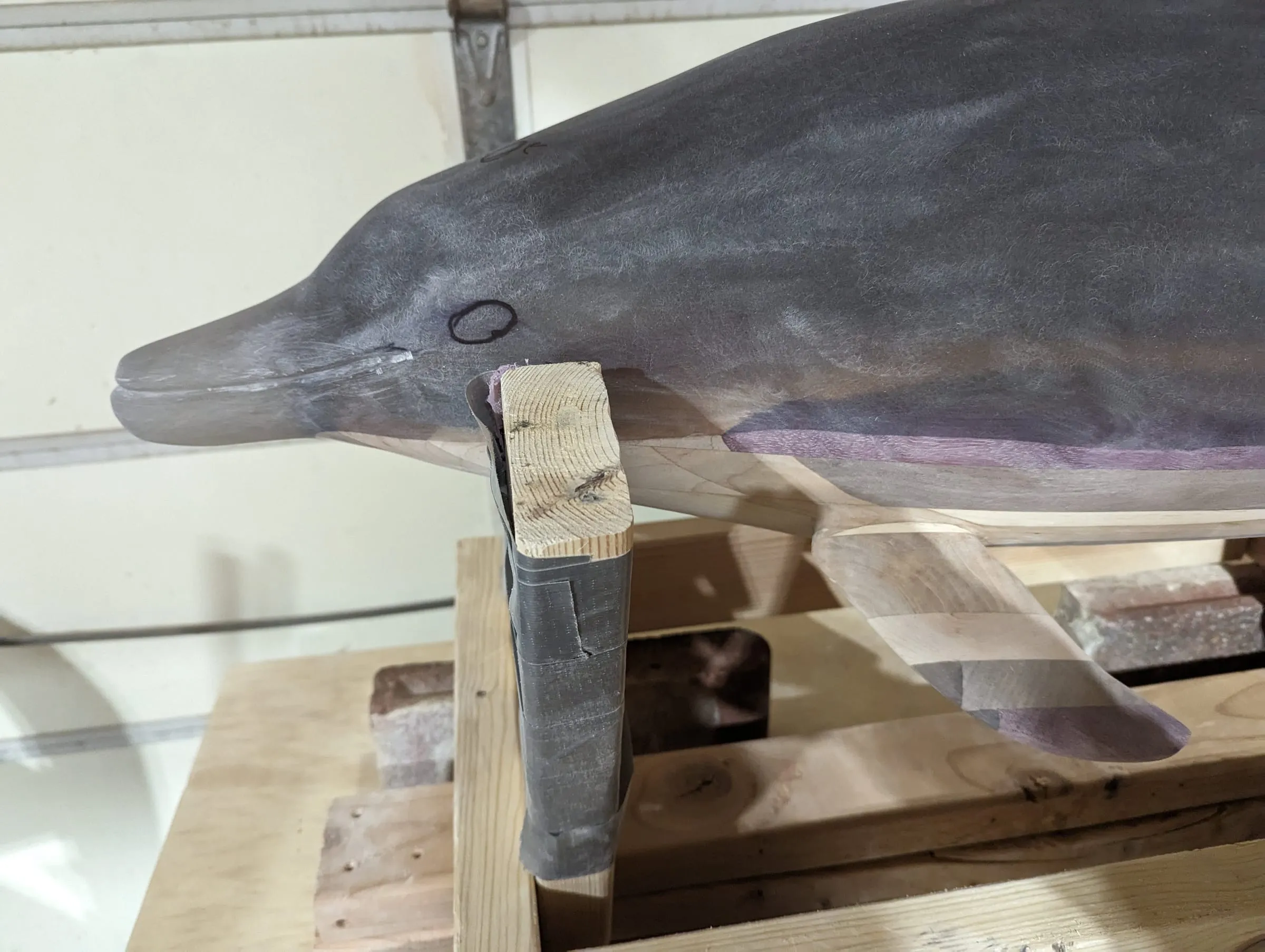Elvis the Dolphin — Head and eye detail while shaping