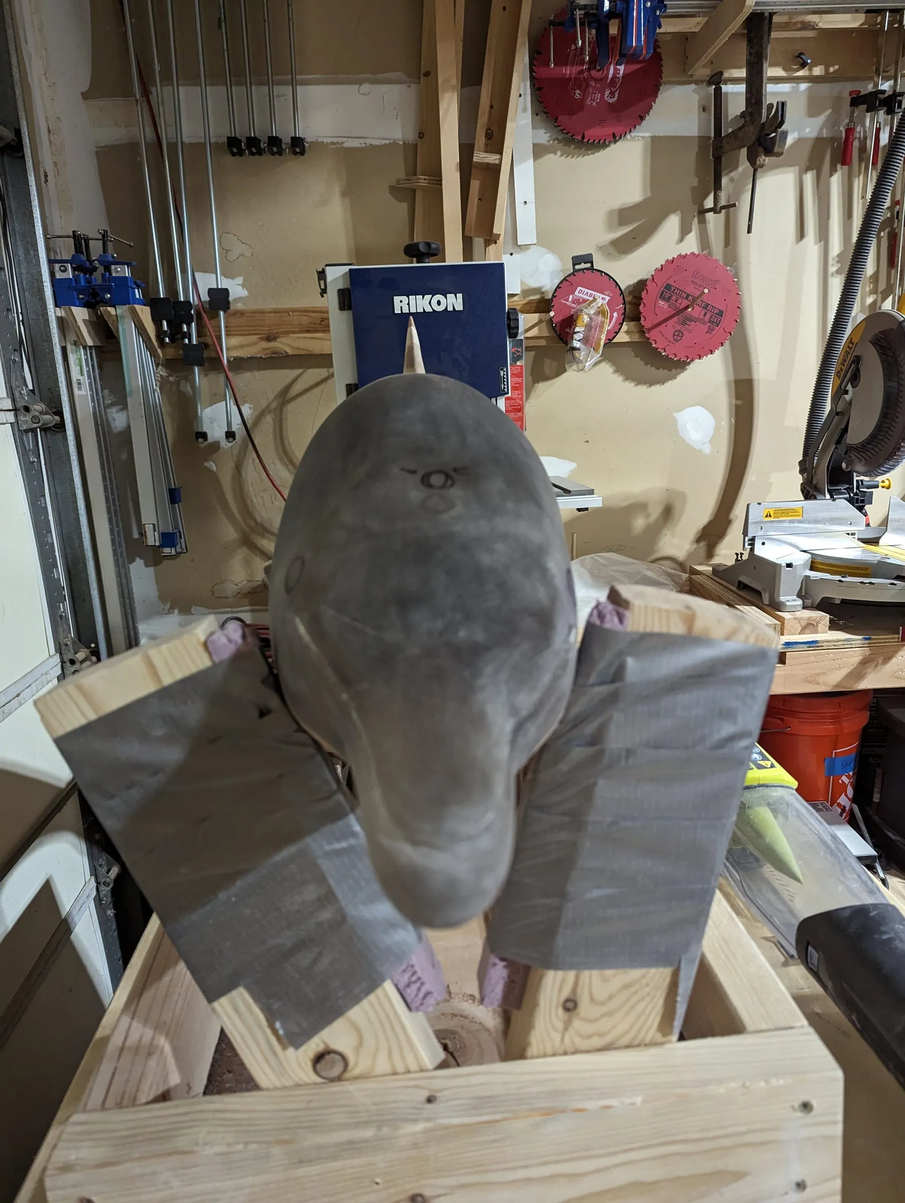 Elvis the Dolphin — Head-on, with the body padded in its cradle