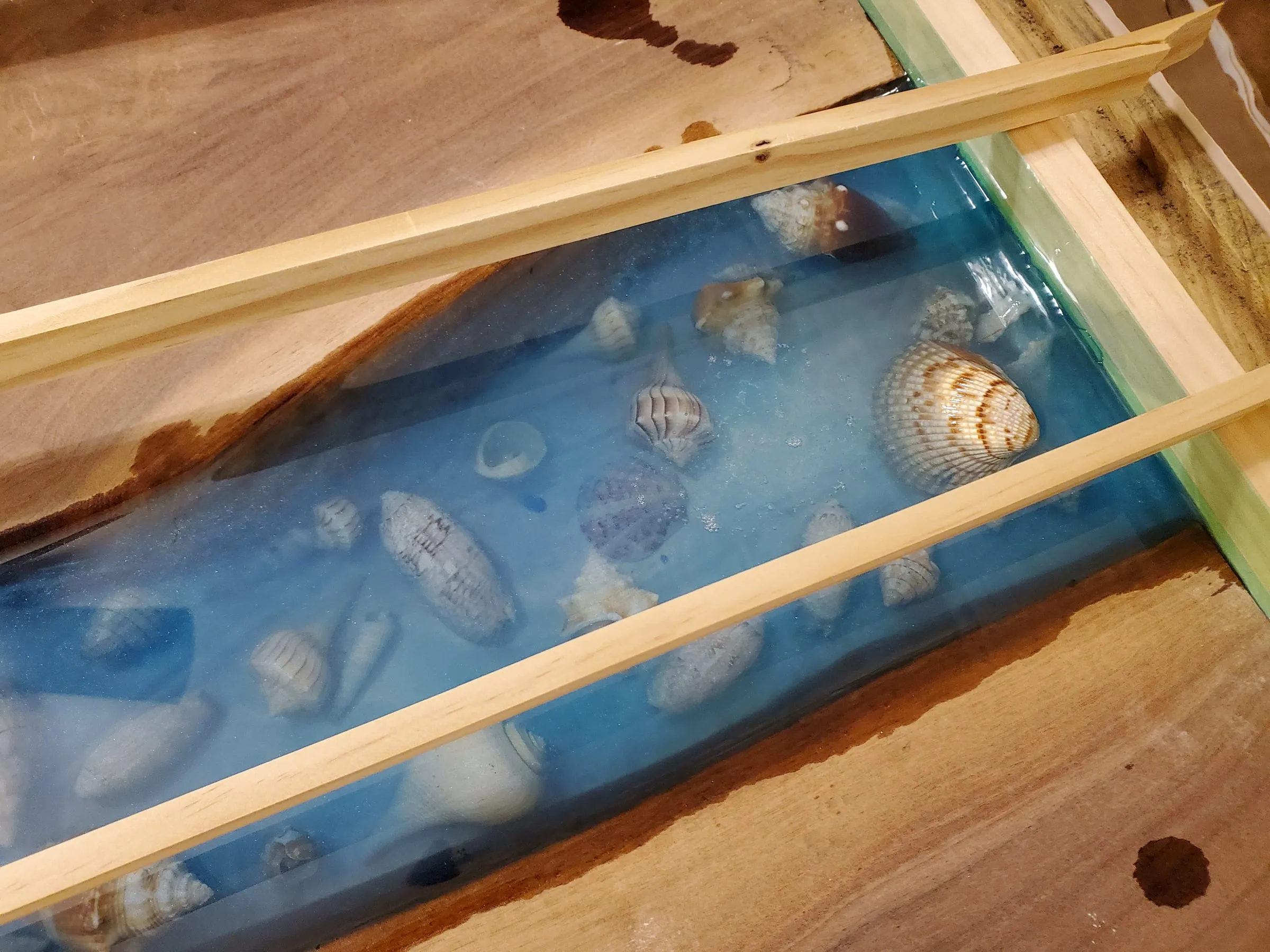 The First River Table — Shell detail under the epoxy
