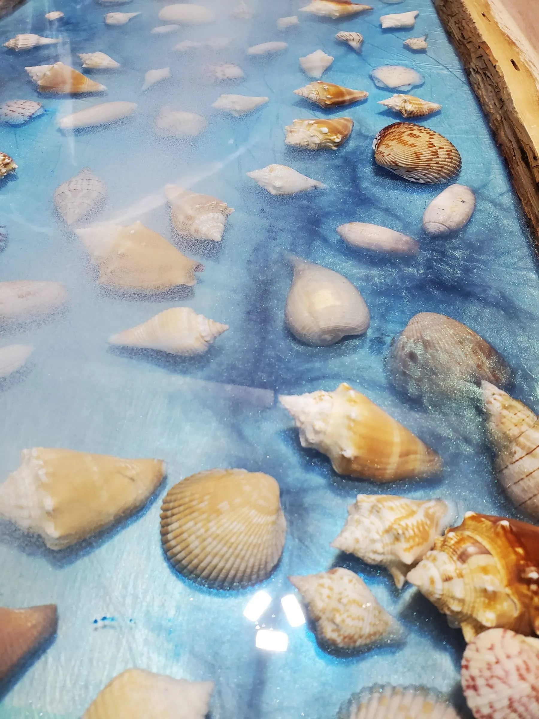 The Outdoor River Table — Close-up: shells suspended in blue epoxy