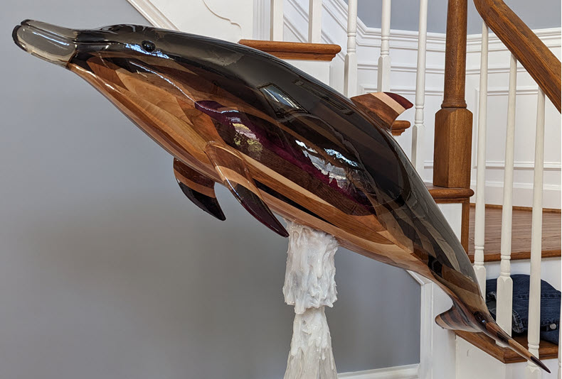 Showcase dolphin image